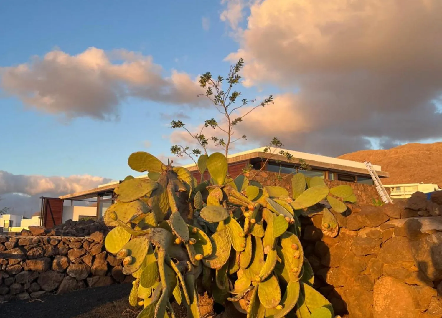 Finca Antigua Las Brenas Spain